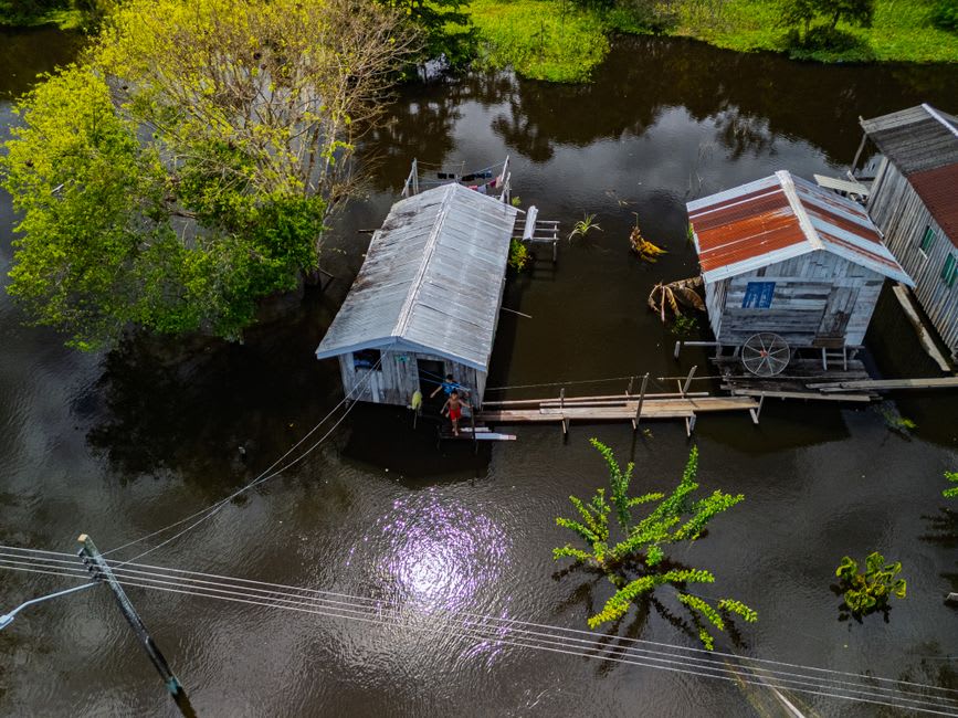 A flooded forest channel deep inside Cuyabeno Wildlife Reserve with roots and vines reflected in the still water