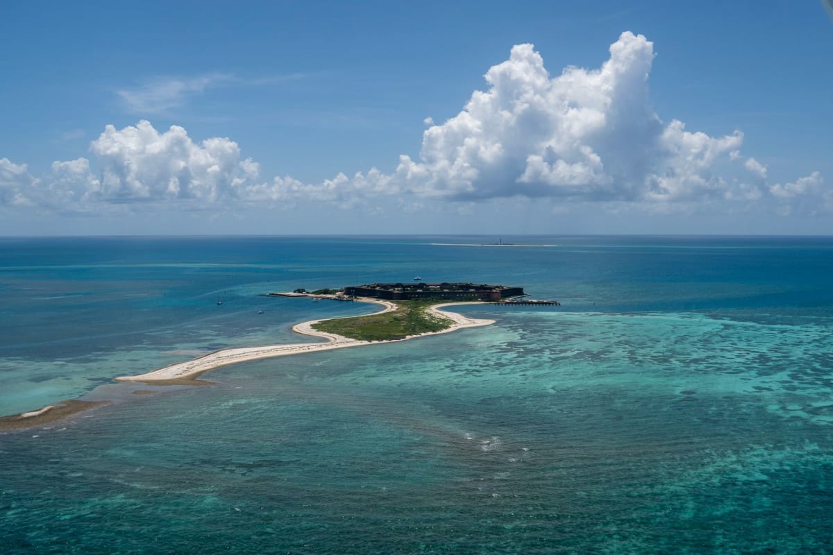 A sea turtle gliding through crystal-clear water over the coral reef surrounding Fort Jefferson in the Dry Tortugas