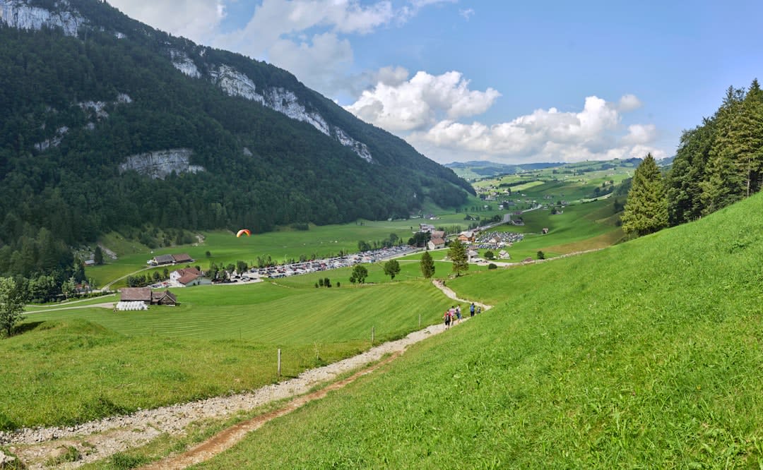 Un vététiste de descente en plein saut sur un sentier forestier au-dessus de Les Gets, avec la vallée verdoyante en contrebas