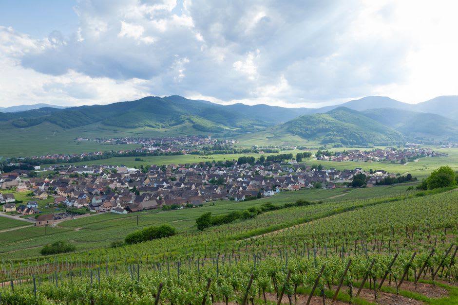 La vista panorámica desde el Mont Sainte-Odile sobre la llanura de Alsacia y las viñas hacia los Vosgos