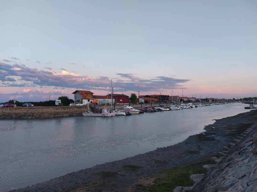 Le port de travail de Pauillac avec des bateaux de pêche amarrés le long du quai et le vaste estuaire de la Gironde en arrière-plan