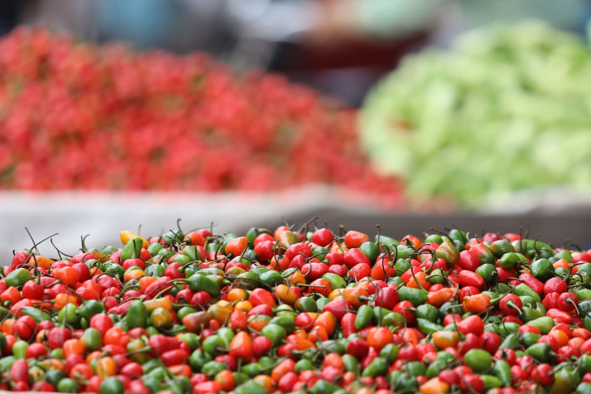 The Saturday morning market at Rue du Marché, Cayenne, with colorful produce stalls and vendors of many different origins