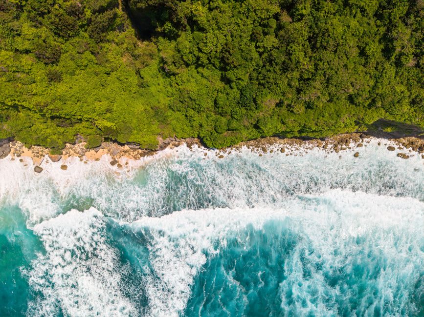 Narrow forested coastline of Maiao where mountain vegetation meets a quiet sand and coral shore