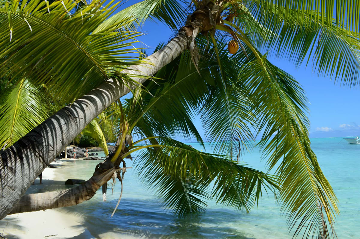 Vast interior lagoon of Rangiroa under a midday sun, pale turquoise shallows fading to deep blue, with the faint line of the atoll rim visible far in the distance