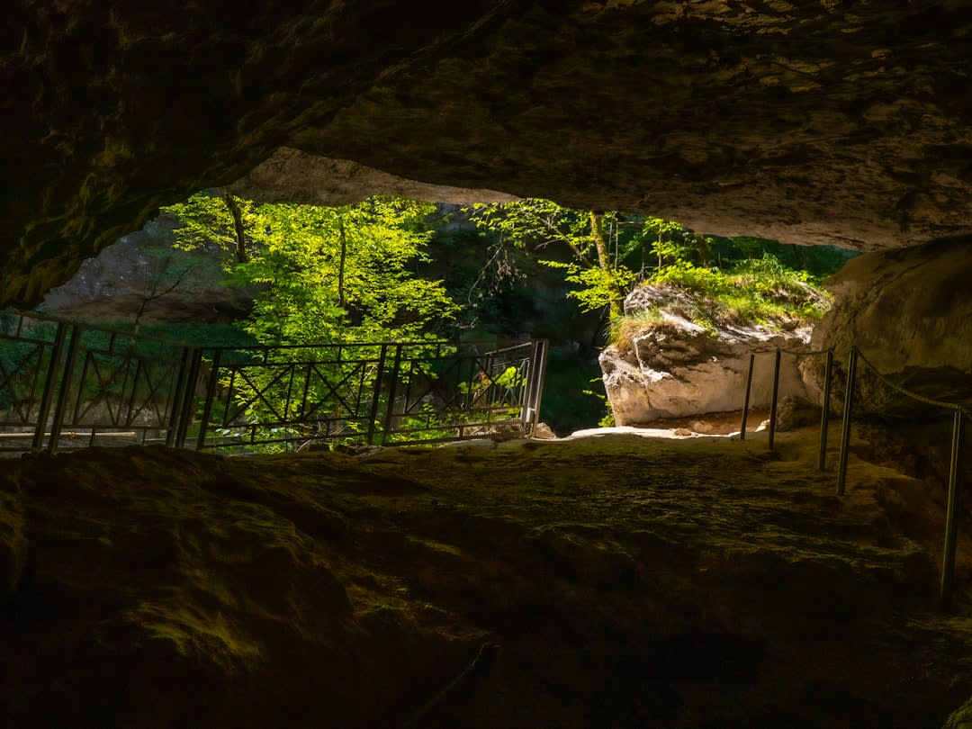 La higuera y la entrada de piedra a la cueva del rabino Shimon Bar Yojái, cerca de Peki'in