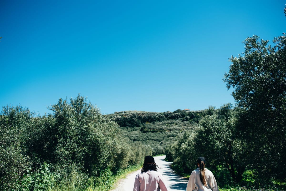 Green valley with olive groves and a Byzantine church on Naxos
