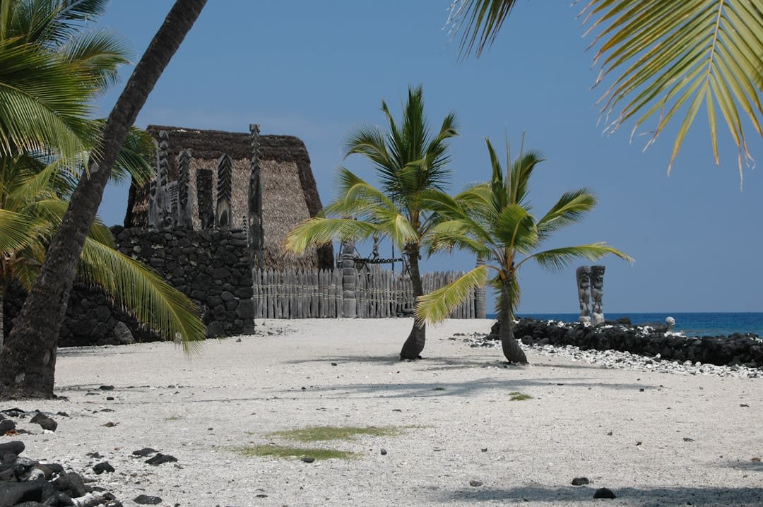 The Great Wall of Pu'uhonua o Honaunau, a massive dry-stacked lava rock barrier along the shoreline