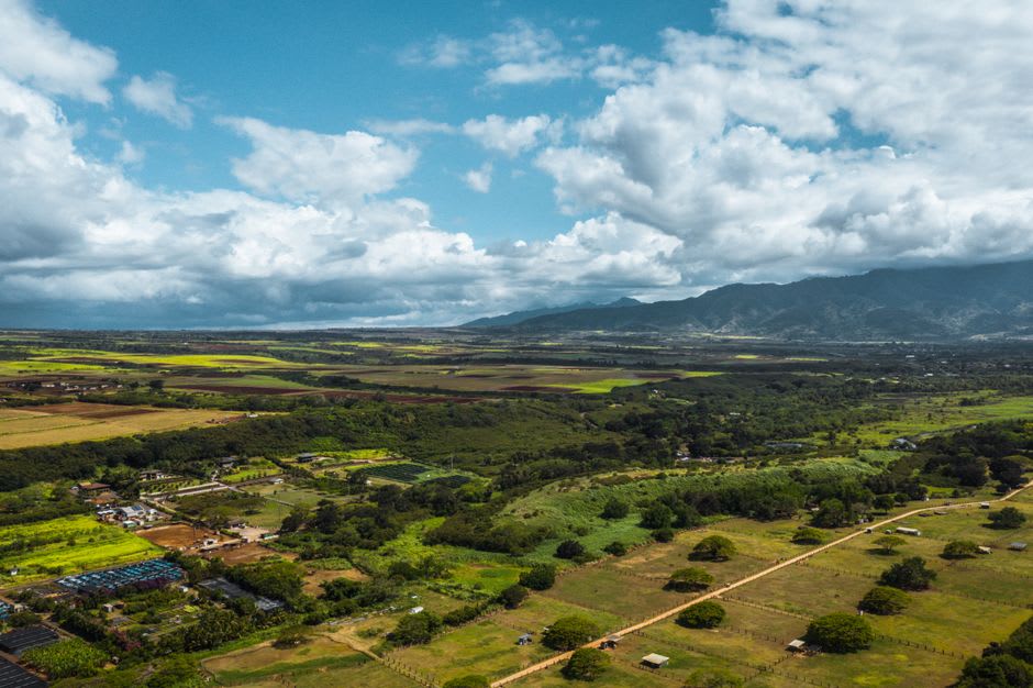 The historic stone cottage and tasting room of MauiWine at Ulupalakua Ranch surrounded by vineyard rows