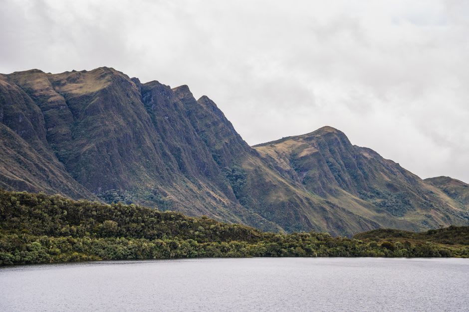 Wild horses grazing on the green valley floor of Waipi'o with steep cliffs behind