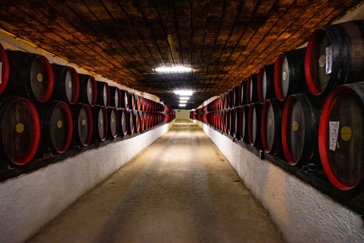 Wine cellar carved into volcanic tufa rock in the Tokaj region