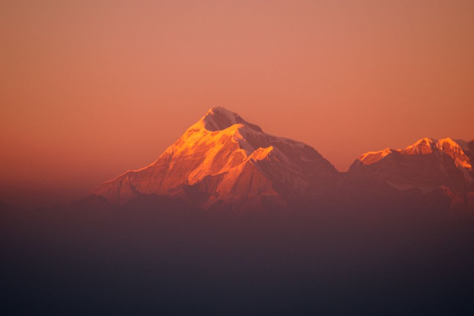 The snow-covered summit ridge of Nanda Devi glowing pink at sunset above Auli's slopes