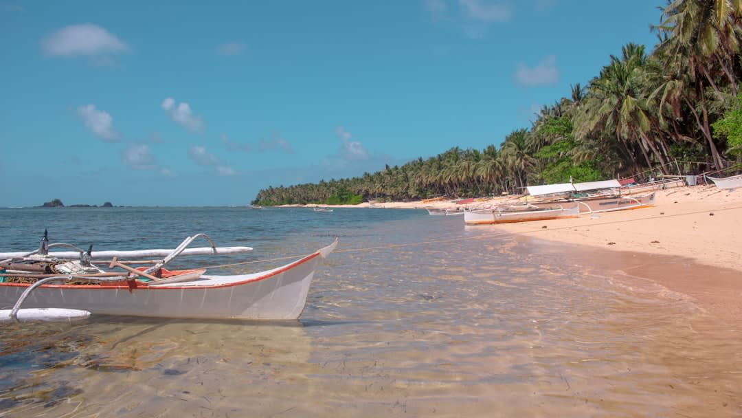 Una barca de pesca tradicional de madera varada en una playa de arena blanca en Lakshadweep