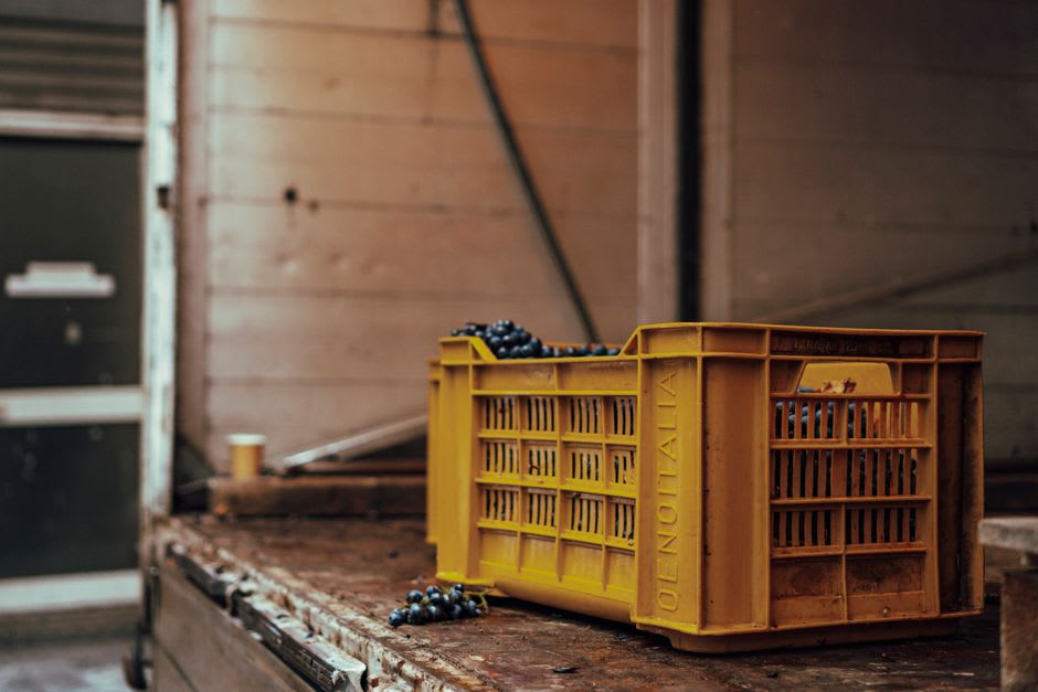 A grape harvest crate being loaded at a roadside stall on the outskirts of Nashik