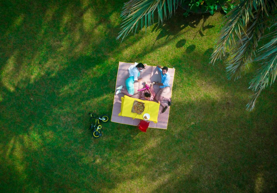 Families relaxing under gulmohar trees in Vadodara's Sayaji Baug garden
