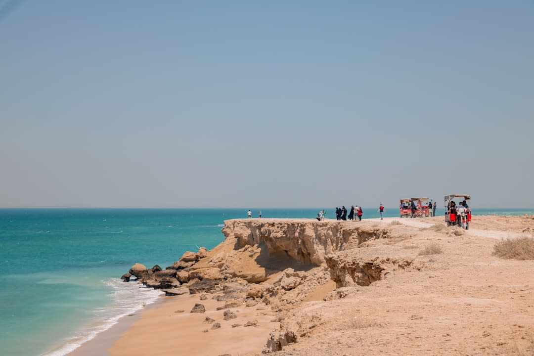Racines de mangrove exposées à marée basse dans la forêt de Hara sur l'île de Qeshm