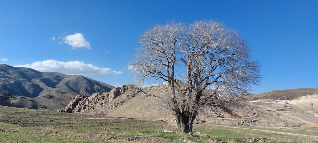 Vista desde lo alto del montículo erosionado del zigurat de Tepe Sialk, mirando hacia la llanura desértica en dirección a Kashan