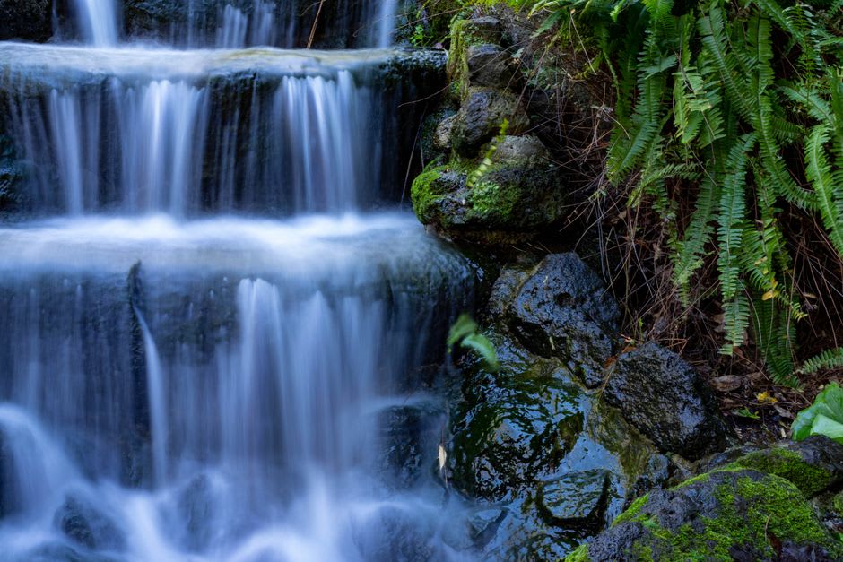 The main Banias waterfall crashing into a pool, surrounded by dense green forest