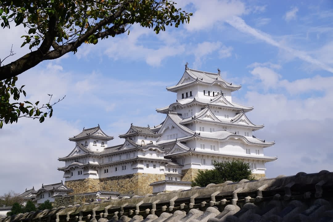 Cerezos en plena floración enmarcando la torre blanca del castillo de Himeji contra un cielo azul