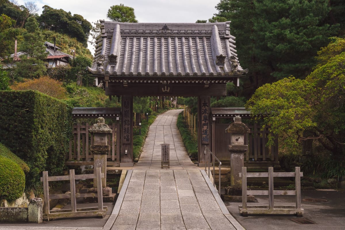 A quiet moss-covered temple path in the wooded hills behind Kamakura, stone steps climbing between trees toward a small shrine