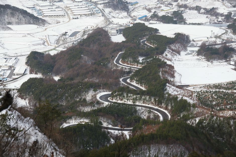 Une route de montagne étroite traversant une forêt de cèdres et des champs en terrasses au-dessus de Kamikatsu