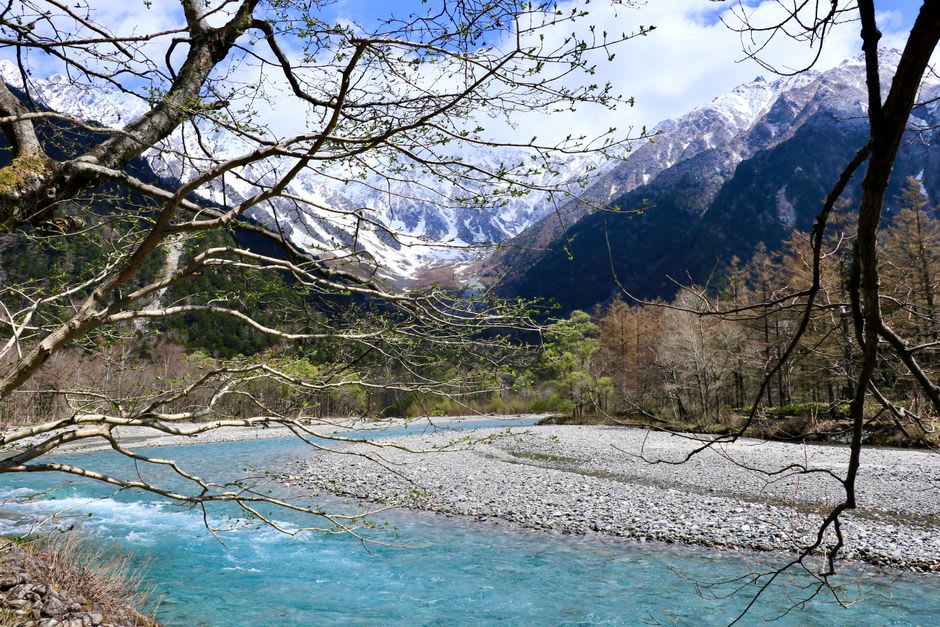 Un sentier en caillebotis à travers bouleaux et zone humide à Kamikōchi, la rivière limpide et les montagnes visibles au-delà, aucun autre marcheur en vue