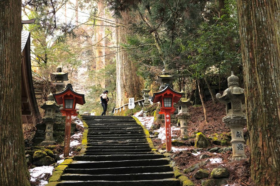 Escalones de piedra cubiertos de musgo subiendo a través de un bosque de cedros hacia el salón principal de Muroji