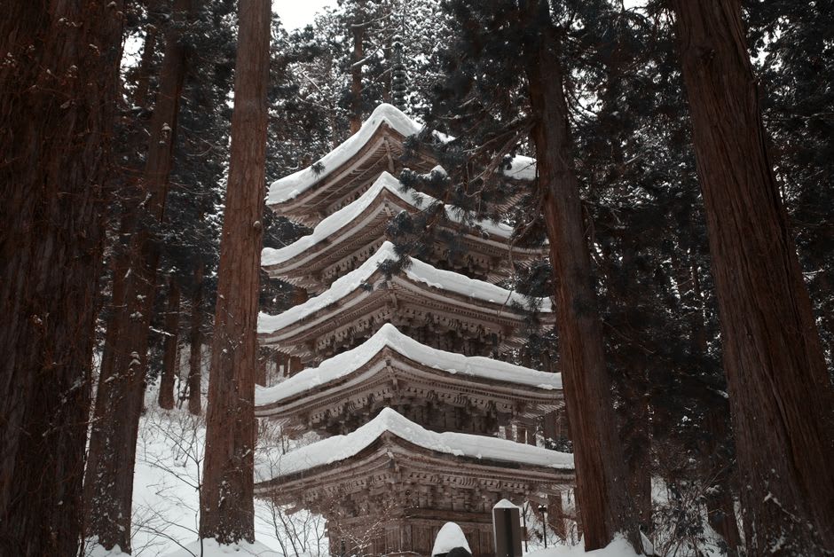 La pequeña pagoda de cinco pisos al aire libre de Muroji enmarcada por cedros imponentes