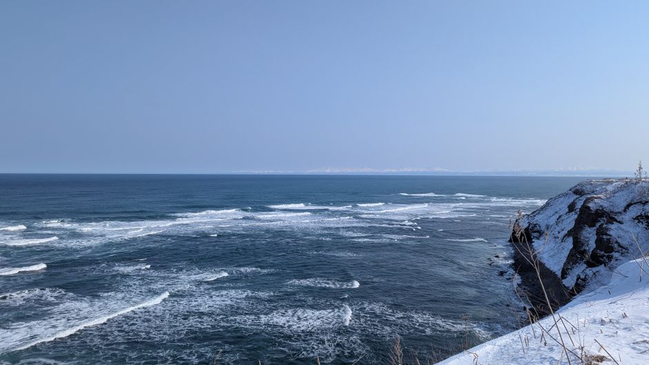 Steller's sea eagles perched on drift ice in the Nemuro Strait off Rausu in winter