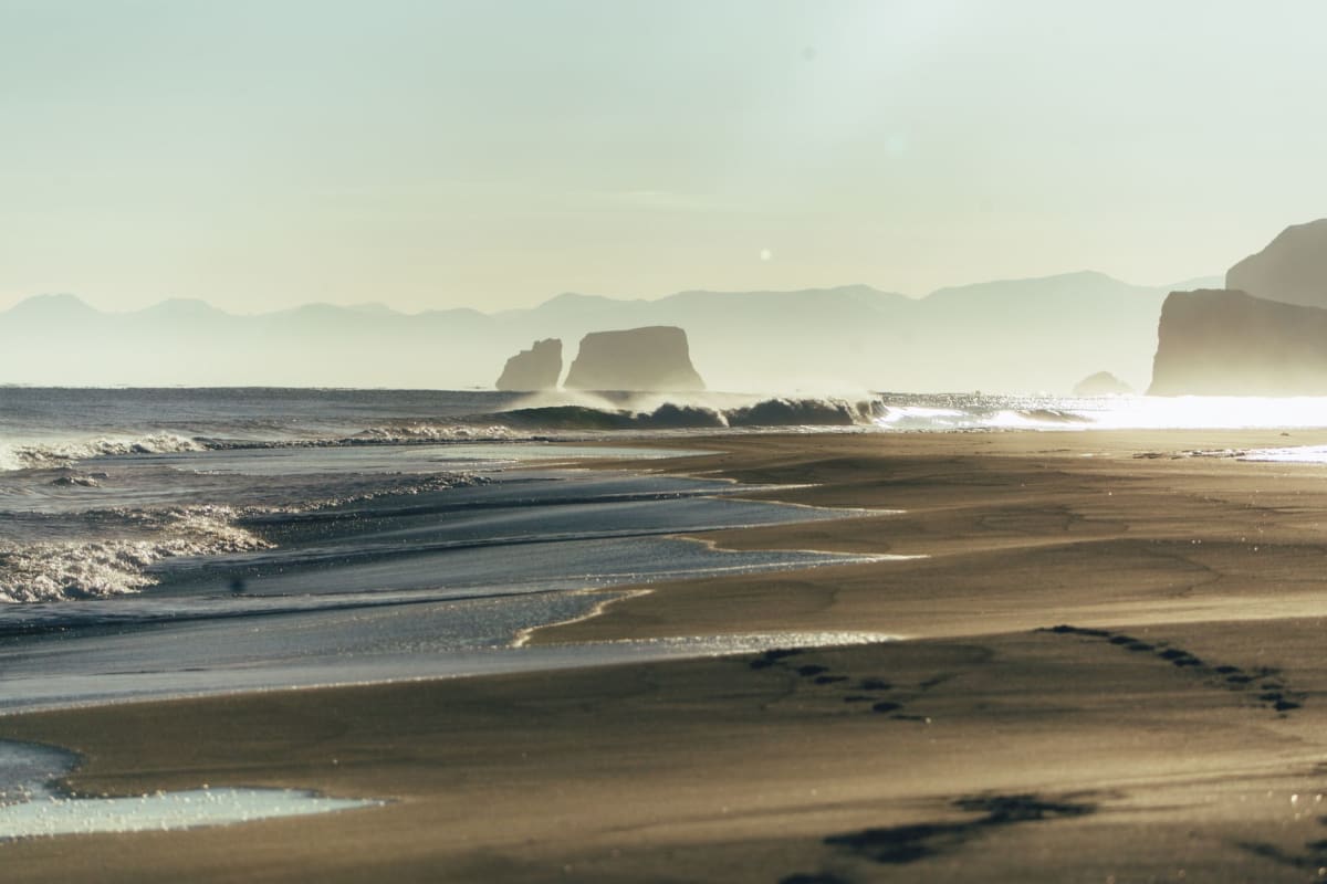 A lone set of footprints crossing the black sand of Khalaktyrsky Beach toward the breaking surf, the dunes and low coastal vegetation receding into mist