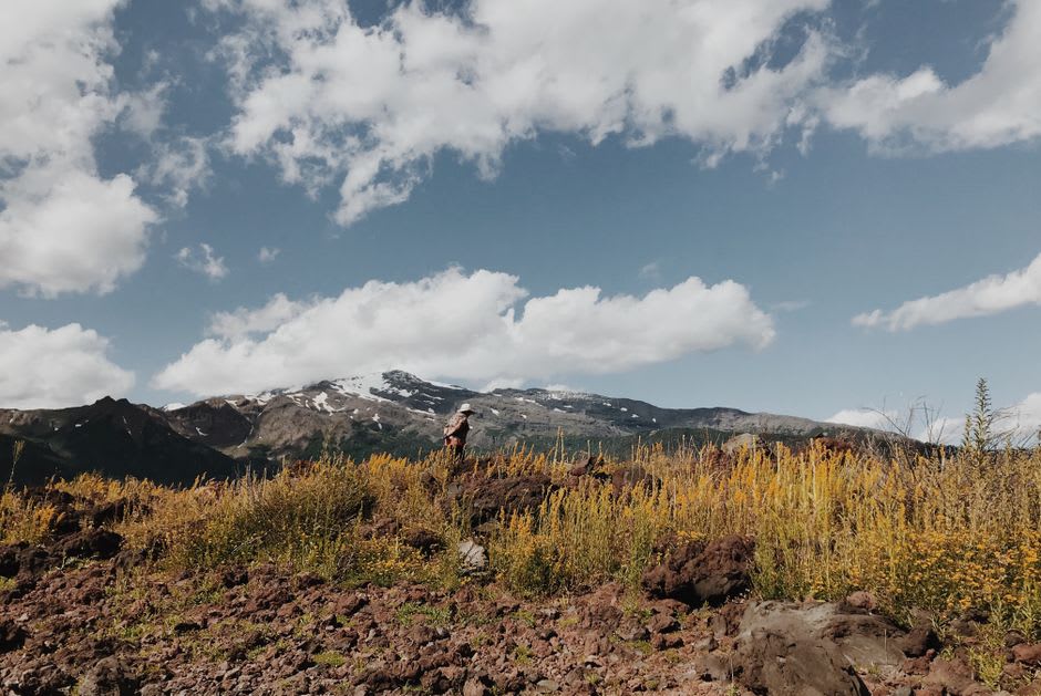 Hiking trail through a wildflower-filled valley with a volcano visible in the distance