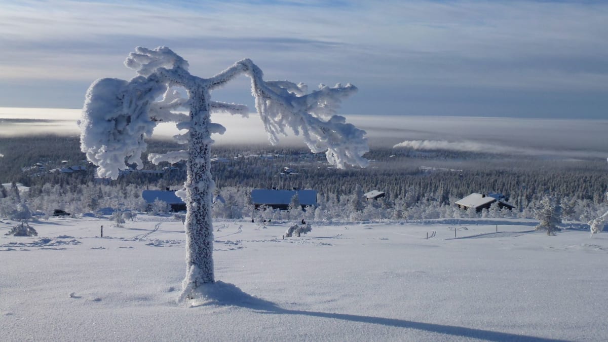 La mina de amatistas de Lampivaara en Luosto, una cantera abierta en la nieve con cristales morados visibles en la cara de roca expuesta, visitantes tamizando en primer plano
