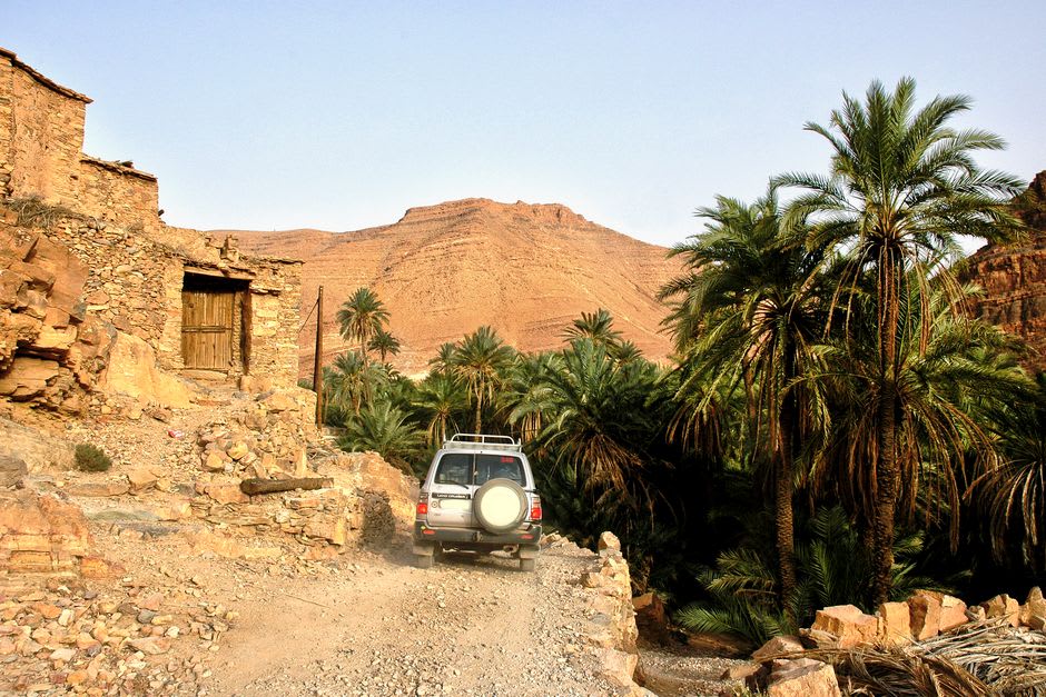 Palm groves growing along the dry riverbed on the edge of Derna