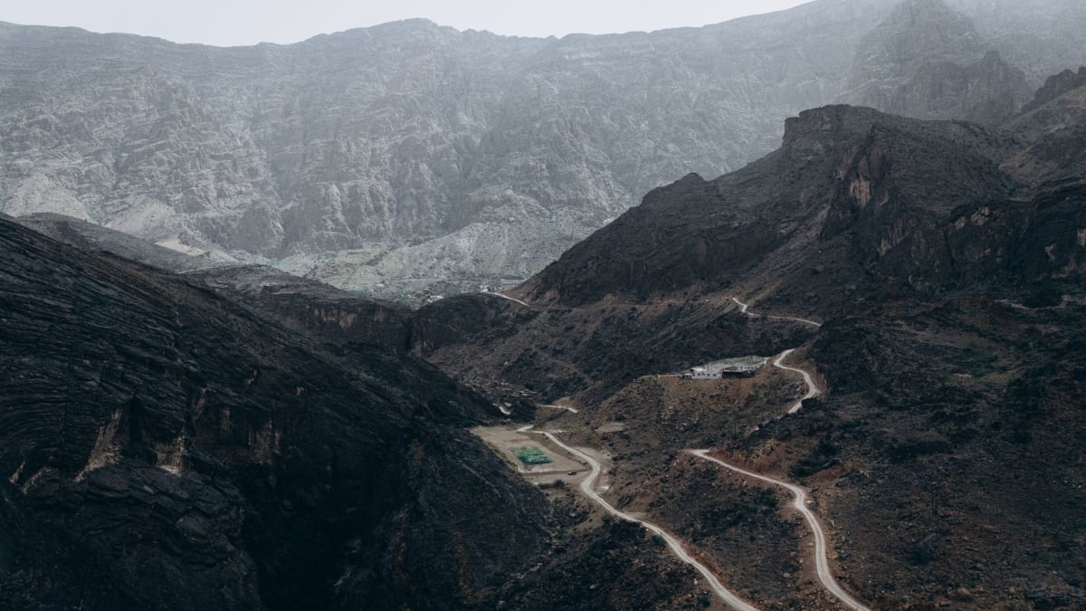 Fleurs sauvages couvrant le plateau du Jebel Akhdar au printemps, anémones rouges et marguerites jaunes au premier plan, versants en terrasses au-delà