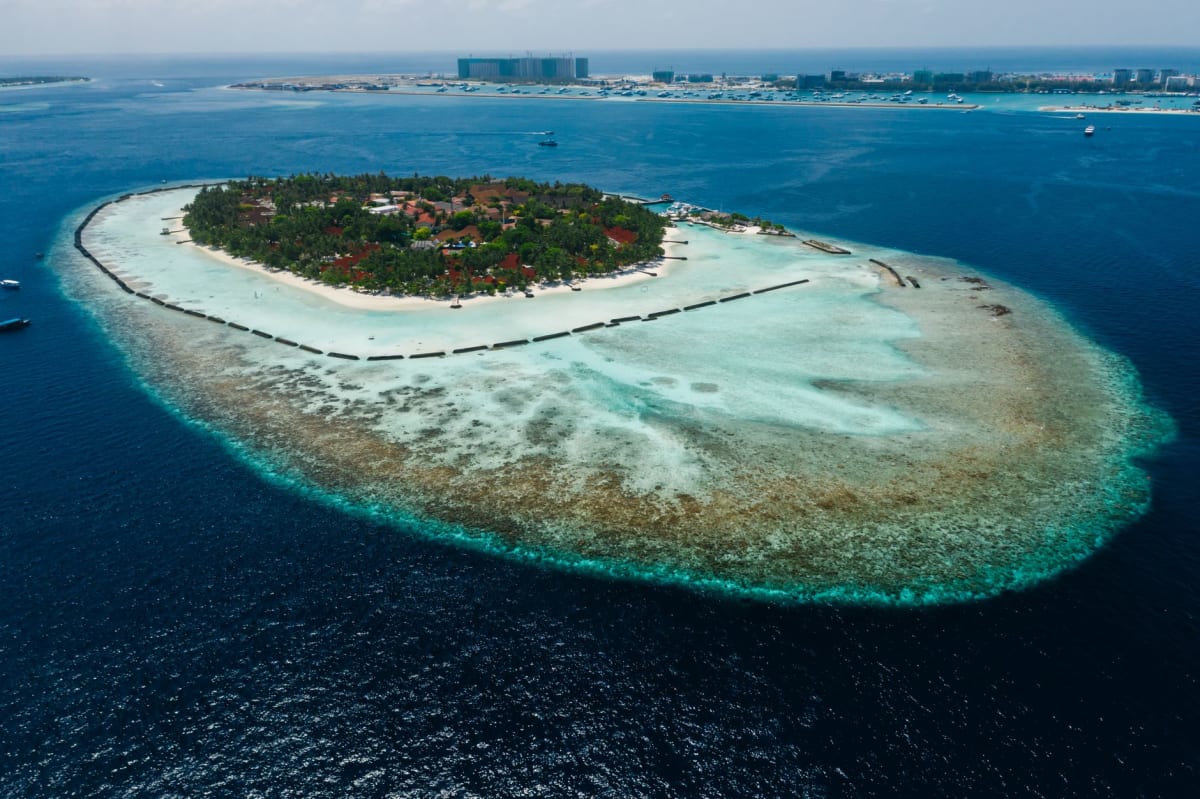 Une vue grand angle de la plage sombre de l'île Vaadhoo la nuit montrant du plancton bioluminescent brillant de bleu dans le doux ressac