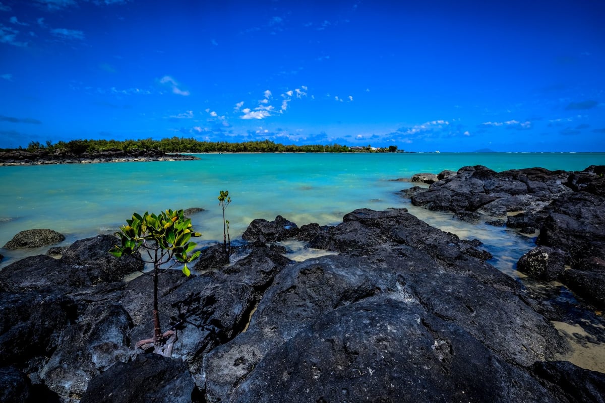 Eau turquoise cristalline et peu profonde sur un sable pâle à l'Île aux Cerfs, des filaos se penchant au-dessus de la plage et quelques petites embarcations mouillées dans le lagon