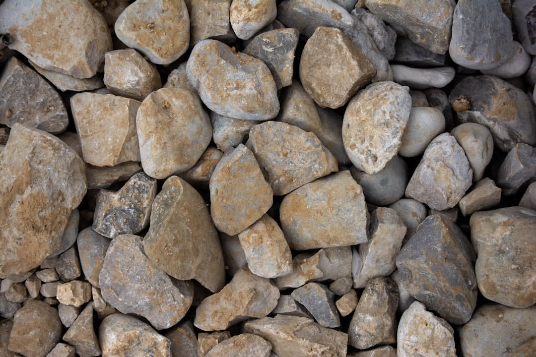 Close-up of round white calcareous river stones in Altamira vineyard soil