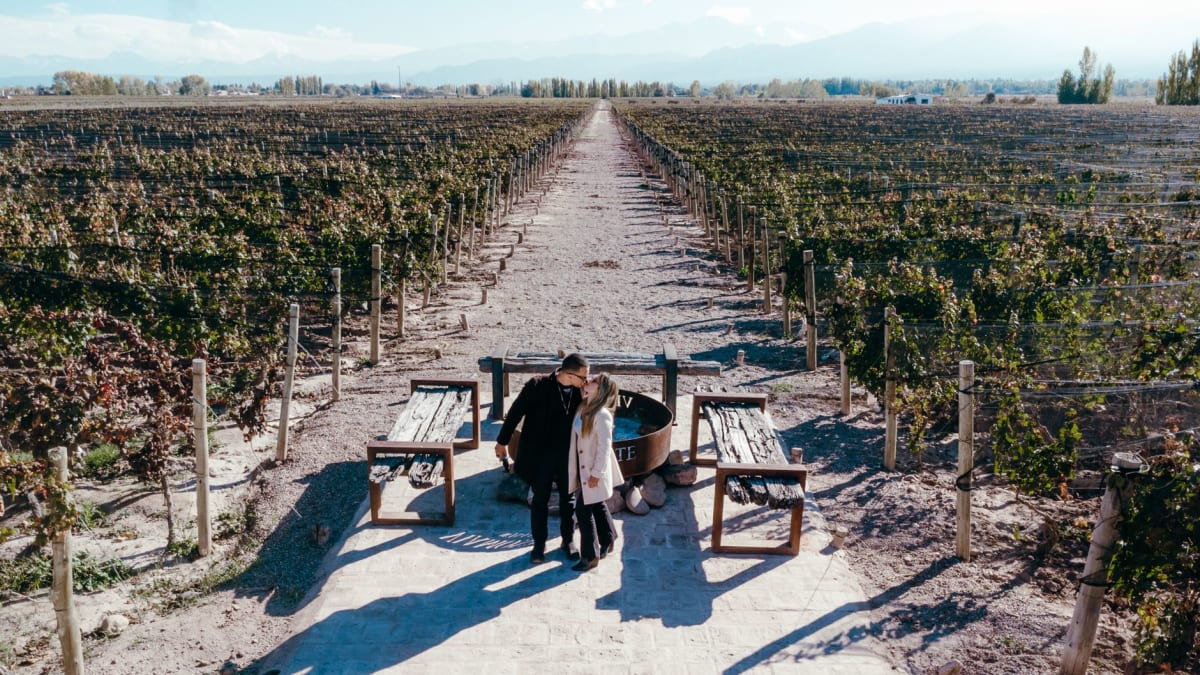 A glass of dark Malbec held against the light at a Gualtallary winery, with vineyard rows and the Andes through the window behind