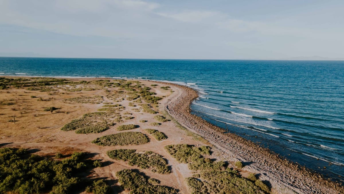 The beach at Kino Viejo at dawn, fishing boats pulled up on grey sand, pelicans perched on the bow of the nearest boat, Isla Tiburón a dark shape on the horizon