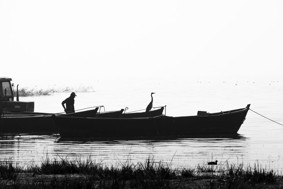 La orilla del río Usumacinta al amanecer, espátulas rosadas y garzas en los bajíos, la barca de un pescador visible a media distancia, selva en la orilla guatemalteca