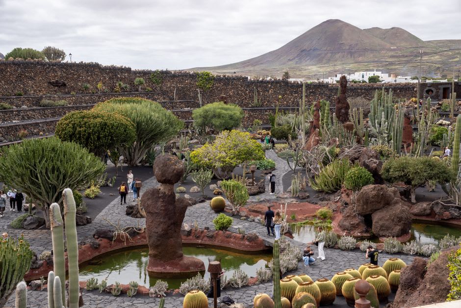 Une collection de hauts cactus colonnaires et d'espèces variées d'agaves dans le Jardín Botánico de Cadereyta, les contreforts de la Sierra Gorda visibles au loin