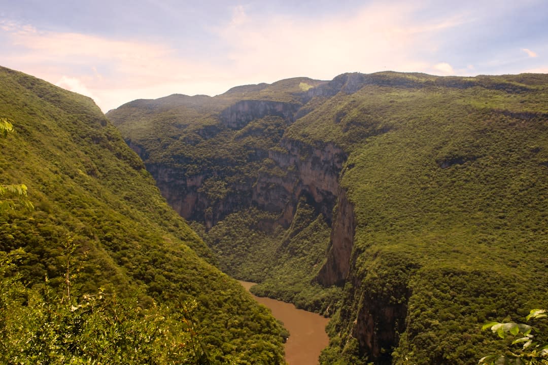 The Christmas Tree waterfall on the Cañón del Sumidero canyon wall, the moss-covered limestone formation draped with vegetation and seeping water against the sheer cliff face, the river far below