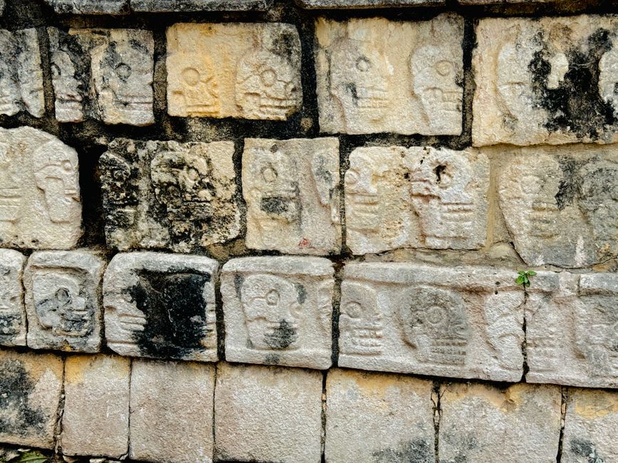 Le petit musée du site à Chalcatzingo avec des reproductions dessinées des bas-reliefs olmèques et des fragments de céramique exposés