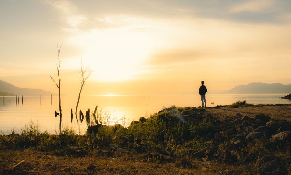 Pelícanos en los carrizales de la orilla del lago de Chapala con lanchas de pesca al fondo