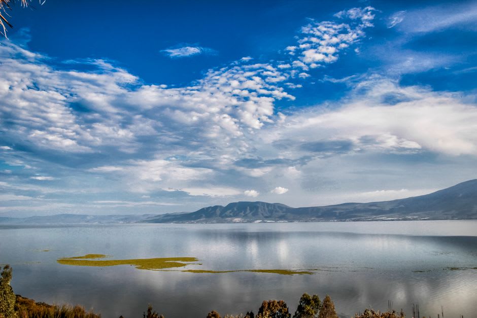 Vista temprana de la mañana del malecón de Chapala con el lago bajo neblina y un pescador solitario en el muelle