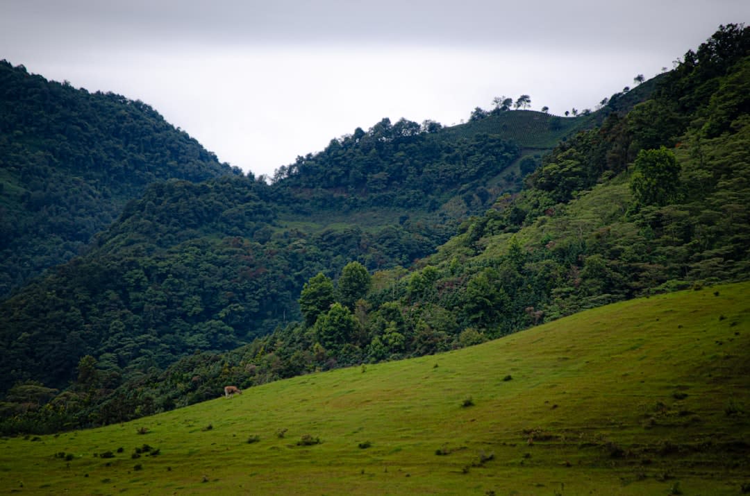 La rivière verte coulant basse sur des bancs de graviers dans les basses terres en contrebas de Chietla, de grands arbres ombragés le long de la berge, des familles réunies au bord de l'eau par un après-midi chaud