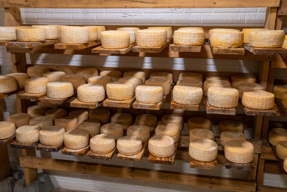 Vendedora en el Mercado Municipal con ruedas de queso cotija añejo envueltas en tela sobre un mostrador de madera