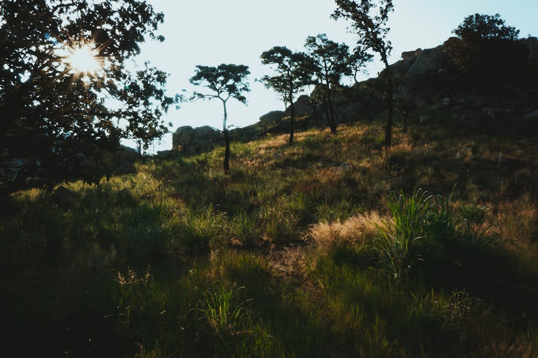 Bodega de piedra fresca en un rancho de Cotija con hileras de ruedas de queso en estantes de madera