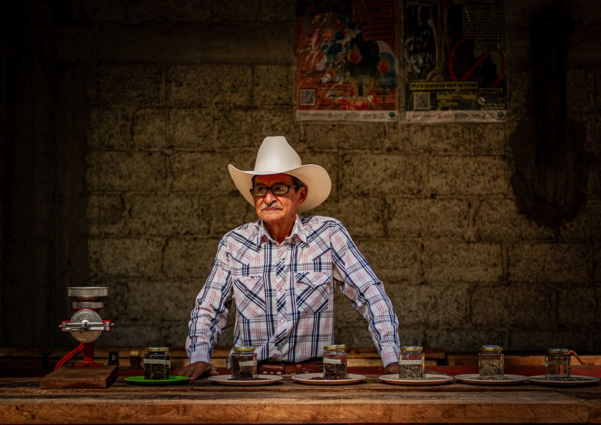El interior del Teatro Juárez en El Oro, su techo pintado y sus ornamentados palcos de balcón intactos, luz cálida sobre el yeso pálido, los asientos de terciopelo rojo de la platea abajo