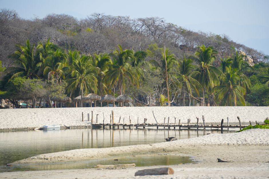 La marina de La Cruz de Huanacaxtle en calma matutina, mástiles de veleros reflejados en agua quieta contra un cielo azul pálido