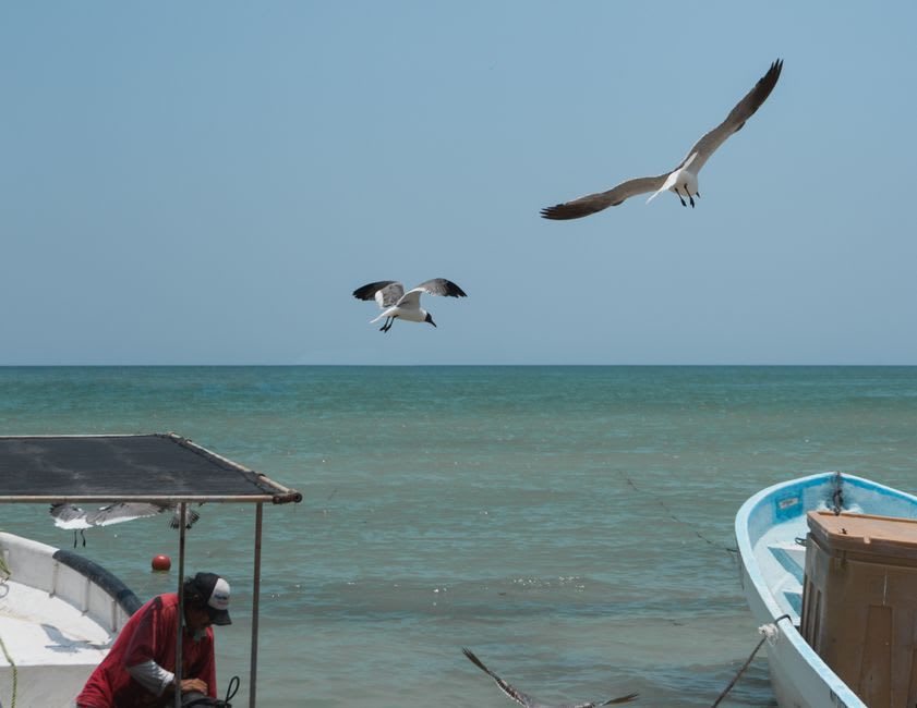 Fishing pangas moored at the mouth of the Río Soto la Marina at La Pesca